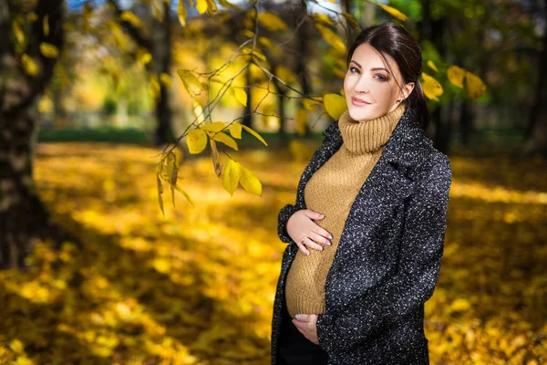 Retrato Una Joven Embarazada Caminando Parque Otoño — Foto de Stock