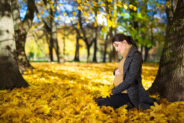 Szczęśliwa Młoda Ciężarna Kobieta Siedzi Jesiennym Parku — Zdjęcie stockowe