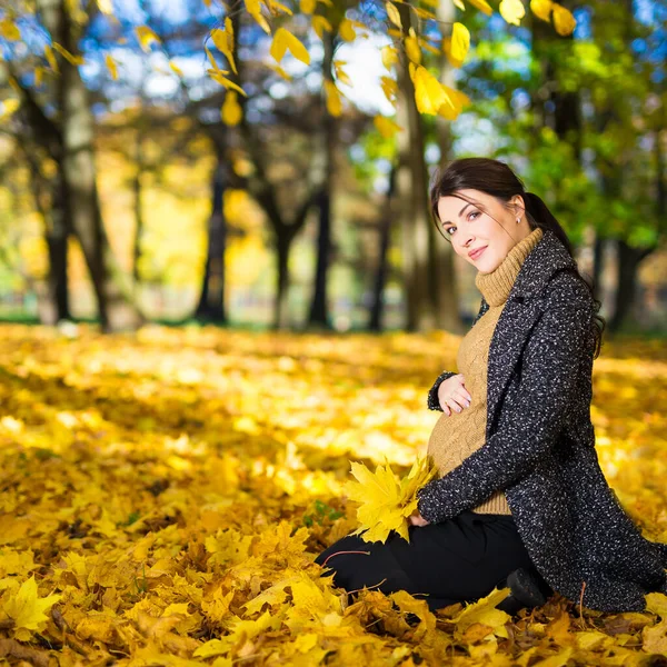 Retrato Feliz Jovem Bela Mulher Grávida Sentada Parque Outono — Fotografia de Stock