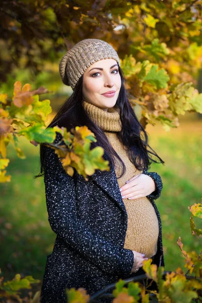 秋の公園でポーズをとっている若い美しい妊婦の肖像画 — ストック写真