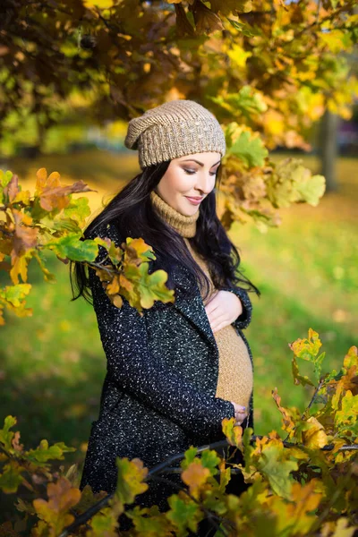 美丽的孕妇在秋天的公园里摆姿势的画像 — 图库照片