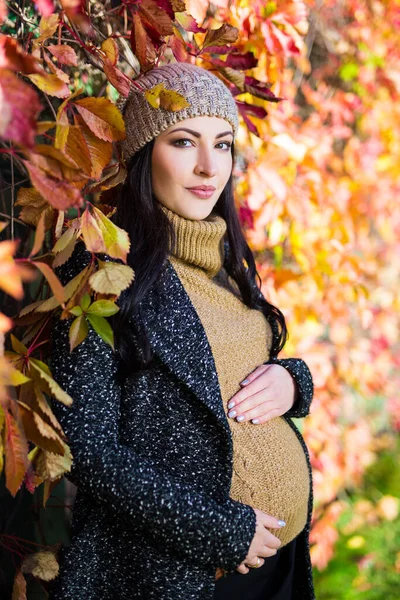 Atractiva Mujer Embarazada Posando Sobre Otoño Parque Fondo — Foto de Stock