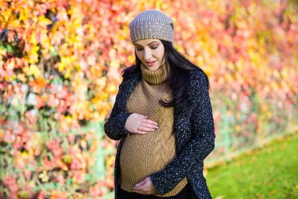 Retrato Hermosa Mujer Embarazada Posando Sobre Fondo Las Hojas Otoño — Foto de Stock