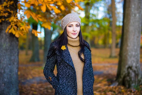 Herfst Concept Jonge Mooie Vrouw Poseren Het Park — Stockfoto