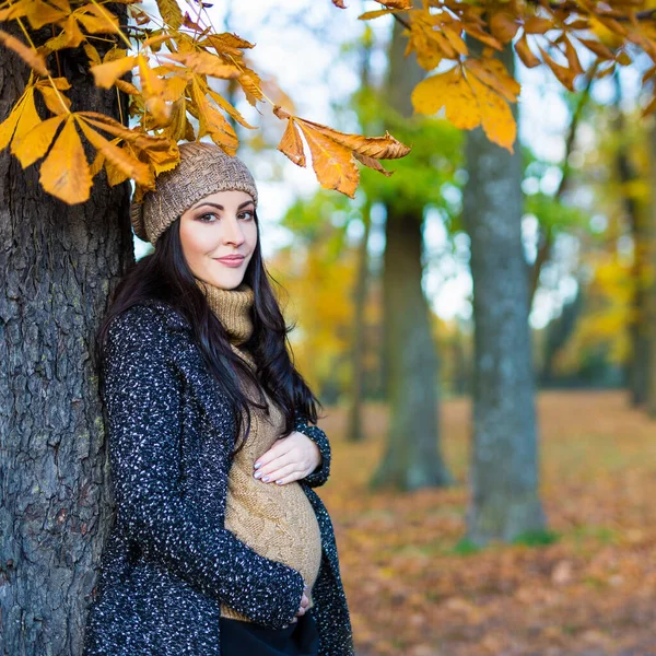 Porträtt Ung Vacker Gravid Kvinna Höstparken — Stockfoto