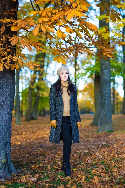 Porträtt Vacker Kvinna Promenader Höst Skog Eller Park — Stockfoto