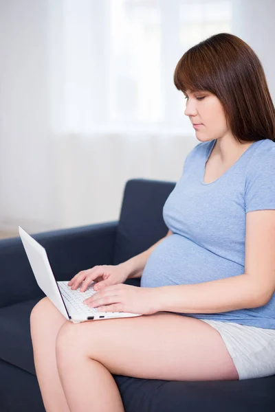 Modern Oturma Odasında Dizüstü Bilgisayar Kullanan Hamile Kadının Portresi — Stok fotoğraf