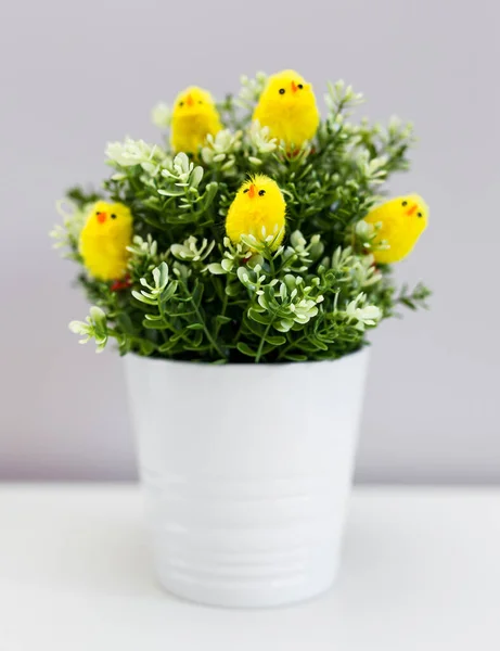 Flower Pot Green Plant Little Yellow Chicks Table — Stock Photo, Image