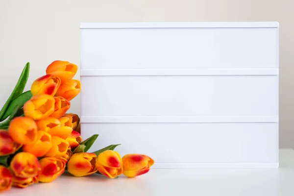 Leuchtkasten Ohne Buchstaben Und Tulpenblumen Auf Dem Tisch — Stockfoto