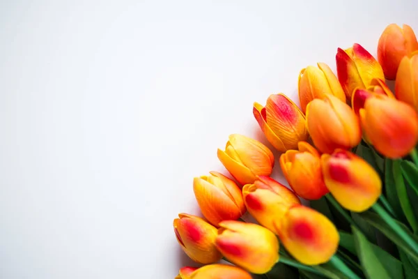 Frühjahrs Oder Sommerkonzept Orangefarbene Tulpenblüten Mit Kopierraum Auf Weißem Hintergrund — Stockfoto