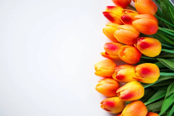 Frühjahrs Oder Sommerkonzept Tulpenblumen Mit Kopierraum Auf Weißem Hintergrund — Stockfoto