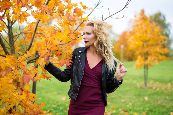 Portrait Young Beautiful Woman Posing Autumn Park — Stock Photo, Image