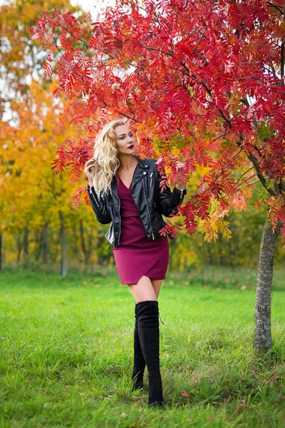 Retrato Jovem Mulher Loira Atraente Jaqueta Couro Posando Parque Outono — Fotografia de Stock