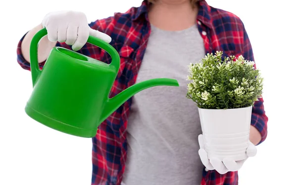 Potted Plant Watering Can Female Hands Isolated White Background — Stock Photo, Image