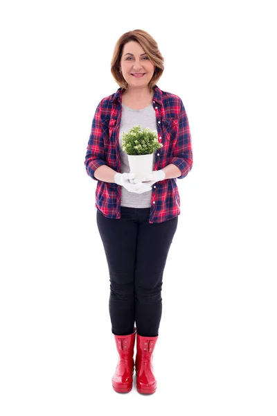 Full Length Portrait Smiling Mature Woman Gardener Potted Plant Isolated — Stock Photo, Image