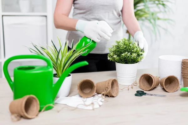 Concepto Primavera Primer Plano Las Manos Femeninas Riego Planta Maceta — Foto de Stock