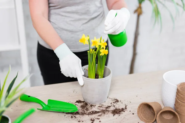 Concepto Primavera Verano Primer Plano Las Manos Femeninas Regando Flores — Foto de Stock