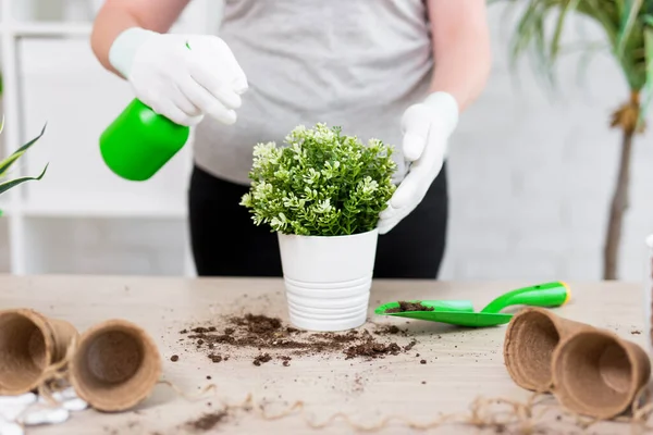 Primer Plano Manos Jardinero Femenino Plantación Riego Flores Con Botella — Foto de Stock