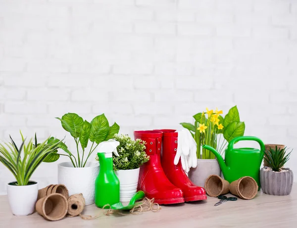 Composición Flores Maceta Herramientas Jardinería Con Espacio Para Texto Sobre — Foto de Stock