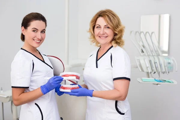 Porträtt Två Kvinnliga Tandläkare Poserar Modern Tandvårdsklinik — Stockfoto