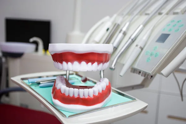 Primo Piano Degli Strumenti Del Dentista Delle Mascelle Artificiali Nella — Foto Stock