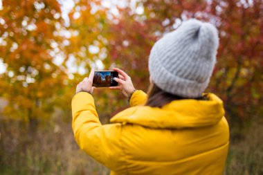 Güz Ormanı 'nın akıllı telefonuyla fotoğrafını çeken kadının arka görüntüsü.