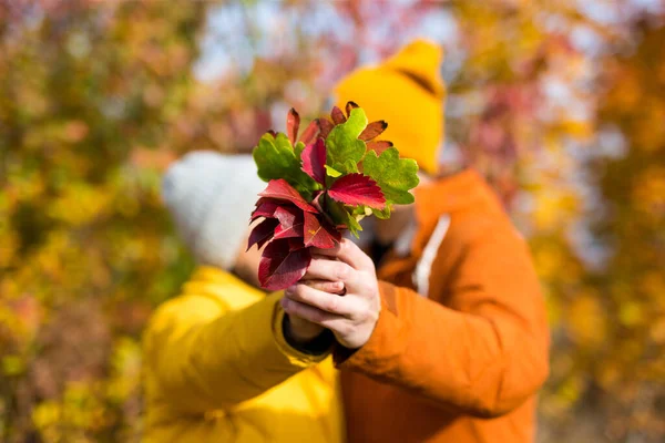 Couple Avec Bouquet Baisers Feuilles Automne Dans Forêt Parc Automne — Photo