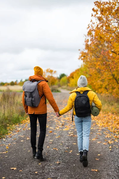 两个背着背包在秋天森林里徒步旅行的远足者的背影 — 图库照片