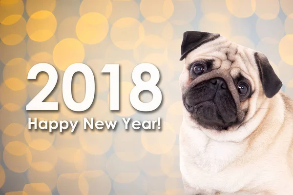 2018 New Year Concept Cute Pug Dog Christmas Background Lights — Stock Photo, Image