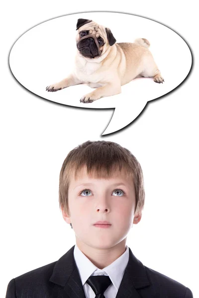 Идея Концепции Маленький Мальчик Деловом Костюме Думает Собаке Изолированы Белом — стоковое фото