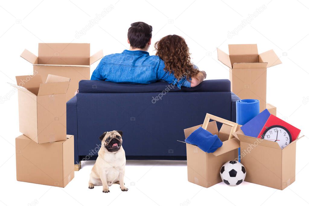 moving day concept - back view of couple sitting on sofa with brown cardboard boxes and dog isolated on white background