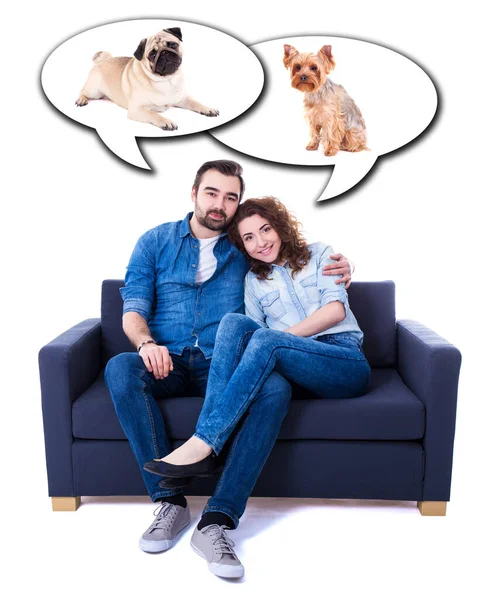 Jovem Homem Mulher Sentados Sofá Sonhando Com Cães Isolados Fundo — Fotografia de Stock