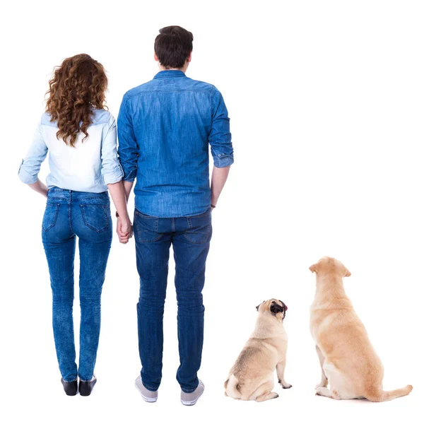 Achteraanzicht Van Mooi Paar Hun Schattige Honden Geïsoleerd Witte Achtergrond — Stockfoto