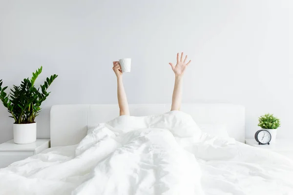 Buen Día Concepto Relajación Manos Femeninas Con Taza Café Que — Foto de Stock