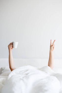 Günaydın, kadın ya da erkek eli kahve fincanı ve zafer işareti olan battaniyeden sarkan kadın ya da erkek eli beyaz duvar arkaplanındaki boşluğu kopyalayabilir.