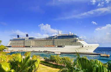 Tropikal Adası'nda güneşli günde demirledi gemi cruise