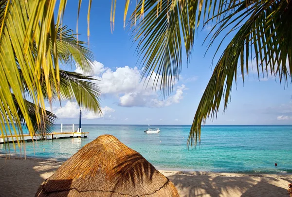 Tropisches Resort Morgen Sonnigem Tag — Stockfoto
