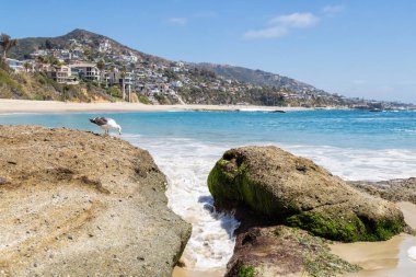 Bir gün, Laguna Beach, Kaliforniya