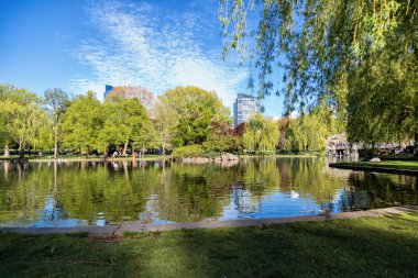 Boston Halk Bahçesi