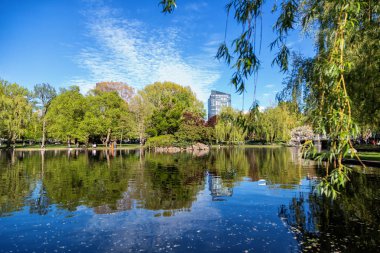 Boston Halk Bahçesi