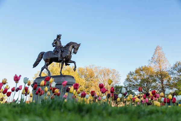 George Washington Bahar Heykeli — Stok fotoğraf