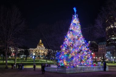 Şehirdeki Noel ağacı.