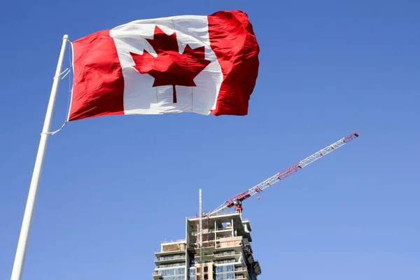 Kanadische Flagge Weht Sonnigem Tag Über Kran Und Baustelle Toronto Stockbild