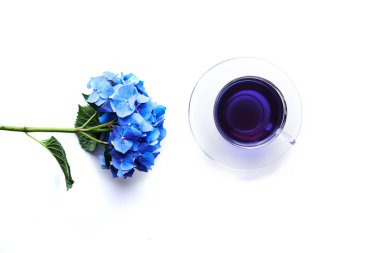 fincan kelebek bezelye çay ve ortanca