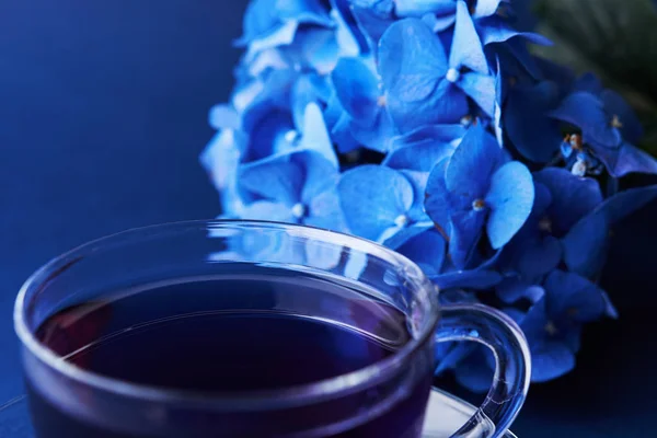 Xícara de chá de ervilha borboleta — Fotografia de Stock