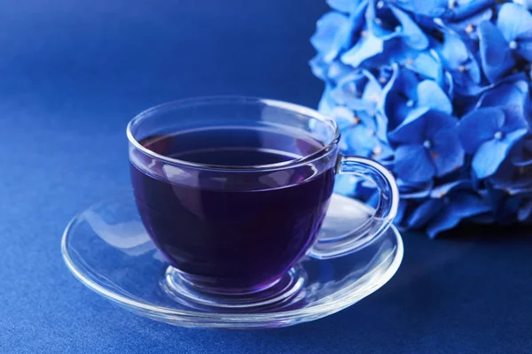 Csésze tea pillangó borsó — Stock Fotó