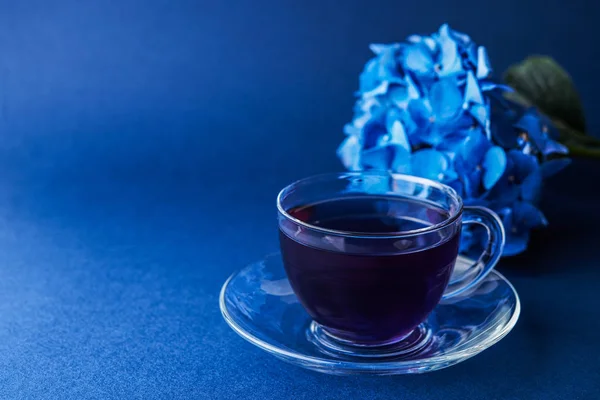 Cup of butterfly pea tea — Stock Photo, Image