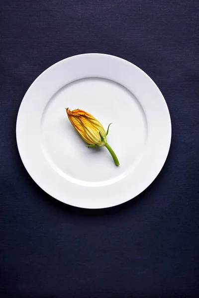 Zucchini blommor på en tallrik — Stockfoto