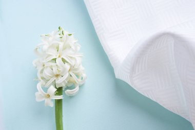 Beyaz sümbül çiçeği