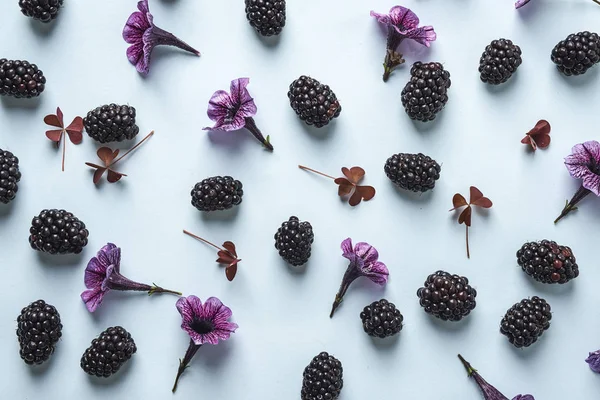 Blcakberry and violet flowers as pattern — Stock Photo, Image